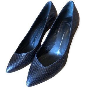 Giuseppe Zanotti Design Kitten Heels Pumps Size 37.5